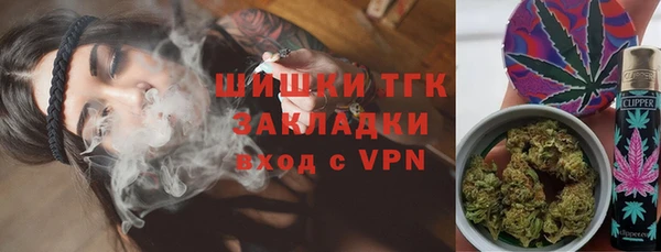 мдпв Карпинск