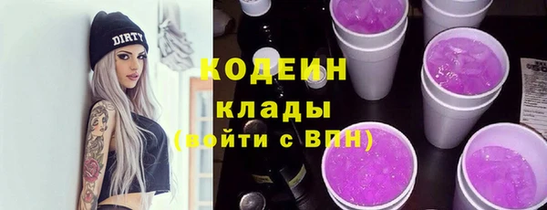 мдпв Карпинск