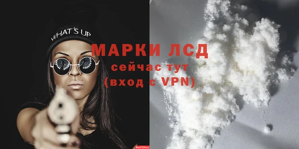 спиды Карталы