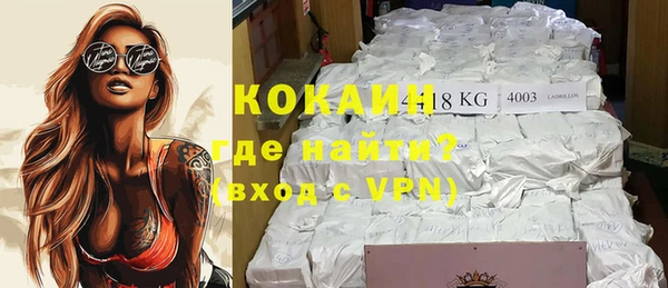 мдпв Карпинск
