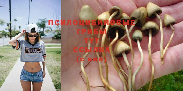 прущая мука Каменногорск