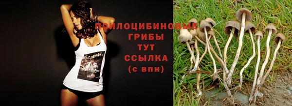 мдпв Карпинск