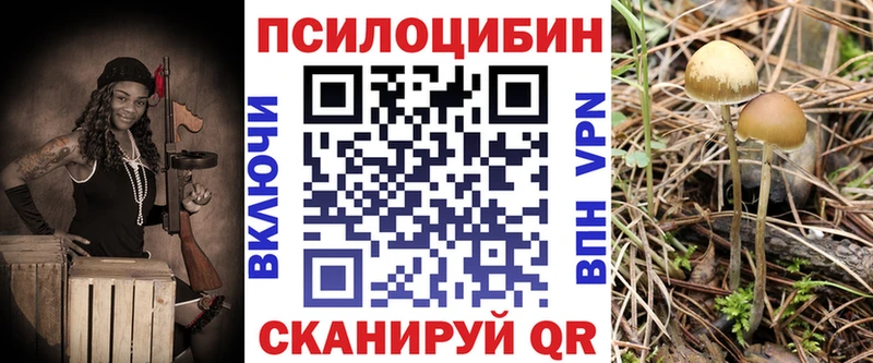 Купить Гай Псилоцибиновые грибы GOLDEN TEACHER