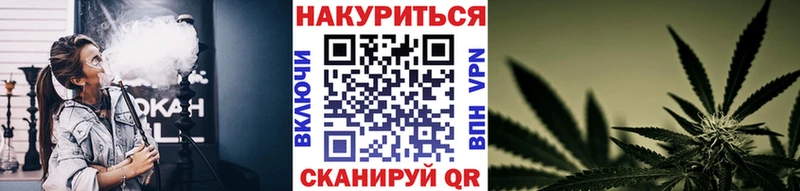 Бошки Шишки семена  Купить закладки  Гай 